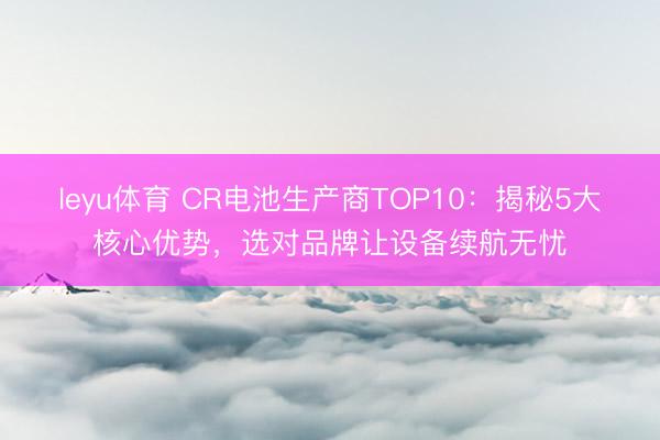 leyu体育 CR电池生产商TOP10：揭秘5大核心优势，选对品牌让设备续航无忧