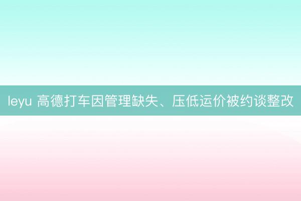 leyu 高德打车因管理缺失、压低运价被约谈整改