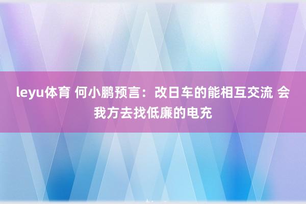 leyu体育 何小鹏预言：改日车的能相互交流 会我方去找低廉的电充