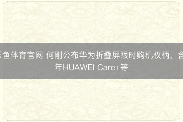 乐鱼体育官网 何刚公布华为折叠屏限时购机权柄，含1年HUAWEI Care+等